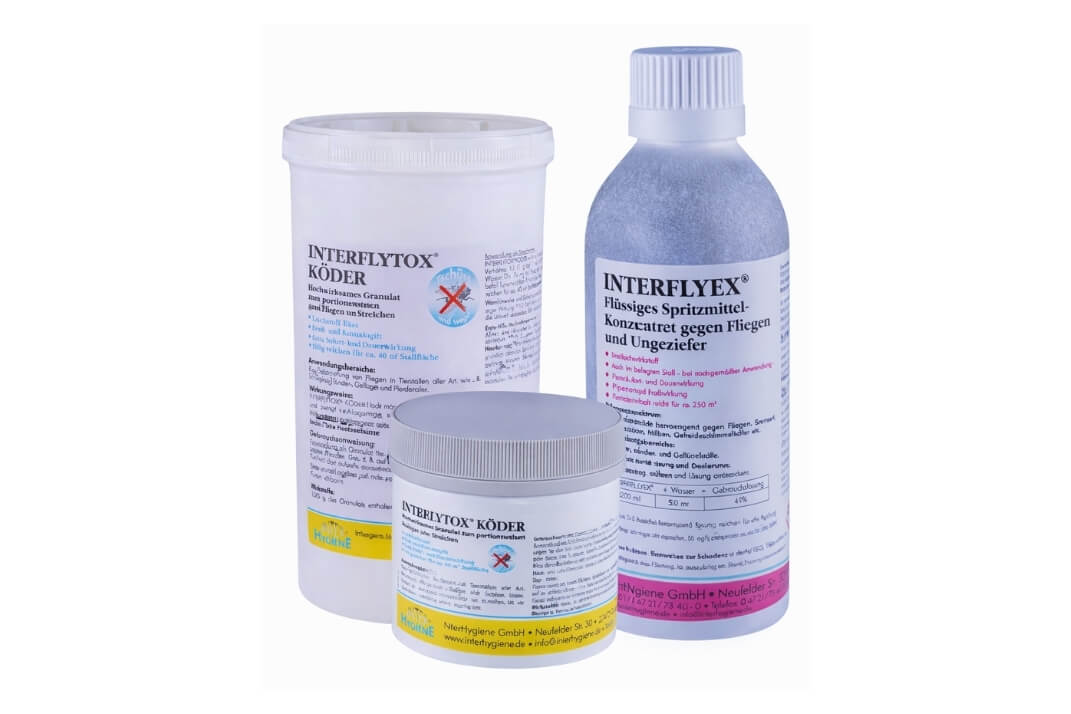 Featured image for “Interfly”